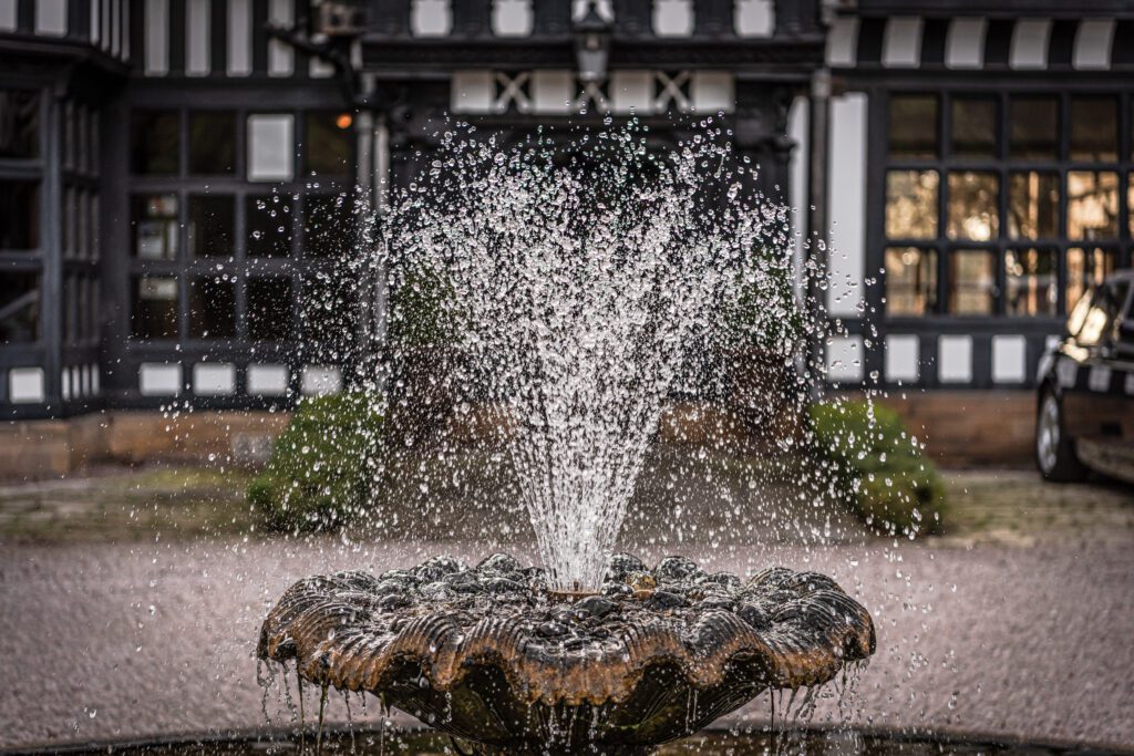 Hillbark Hike: Our Monthly Wirral Walk